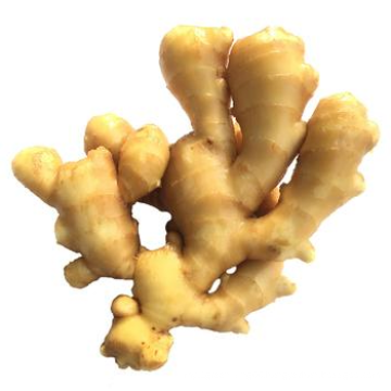 Ginger Wholesale Chinese High Quality Fresh Ginger Supplier for Wet Ginger
